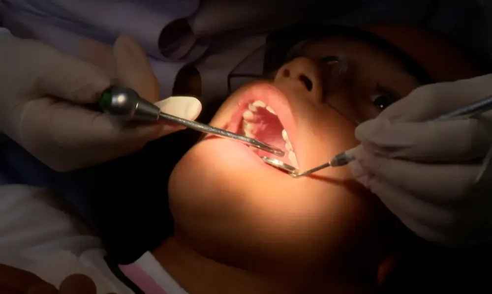 TV Brasil apresenta edição premiada do Caminhos da Reportagem