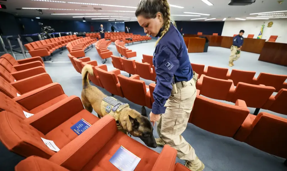 Advogado provoca tumulto e é detido no julgamento sobre trama golpista