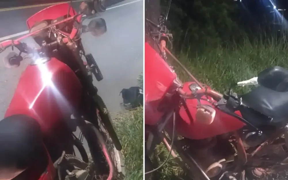 Motociclista sofre queda ao tentar desviar de animal na Rodovia Capitão Bardoino