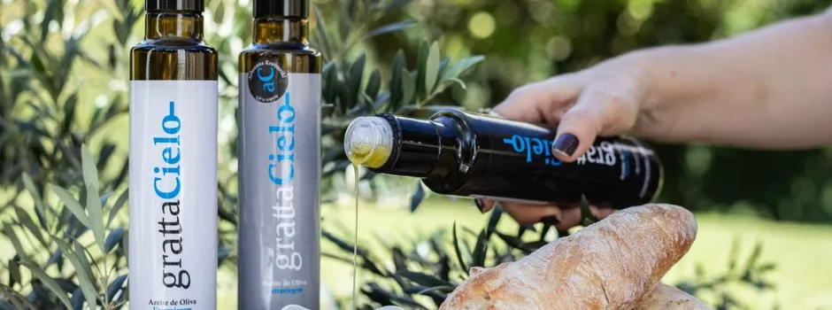 Produtor de azeite alcança premiações internacionais com tecnologia da Epamig