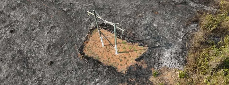 Sistema de alerta da Cemig já antecipou 1,8 mil ações para combater queimadas que afetariam a rede elétrica no estado em 2025