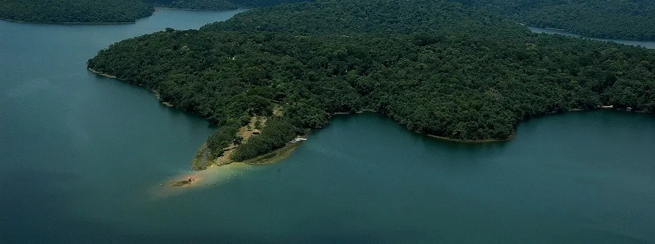 Minas avança no reflorestamento e ultrapassa 70% da meta de restauração da Mata Atlântica