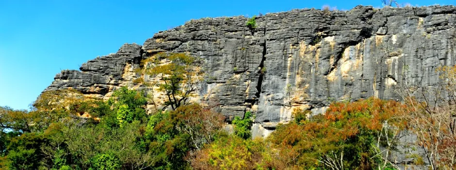 Desmatamento no Cerrado de Minas Gerais cai 34%, aponta Inpe