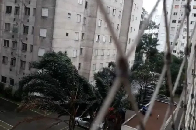 Defesa Civil alerta para rajadas de vento moderadas a fortes em SP