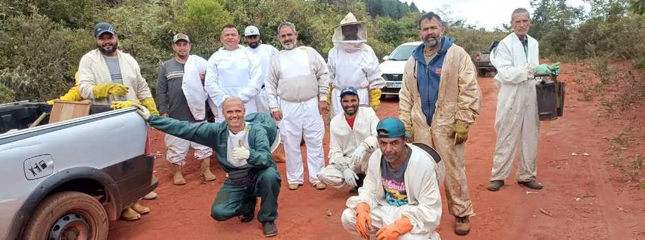 Apicultura ganha força como fonte de renda para produtores no Alto do Jequitinhonha