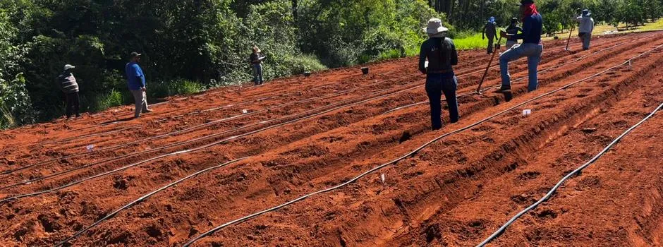 Projeto fortalece produção agropecuária no Norte de Minas e Vales do Jequitinhonha e Mucuri
