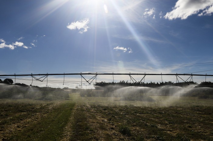 BNDES antecipa liberação de R$ 5,1 bilhões para o Plano Safra