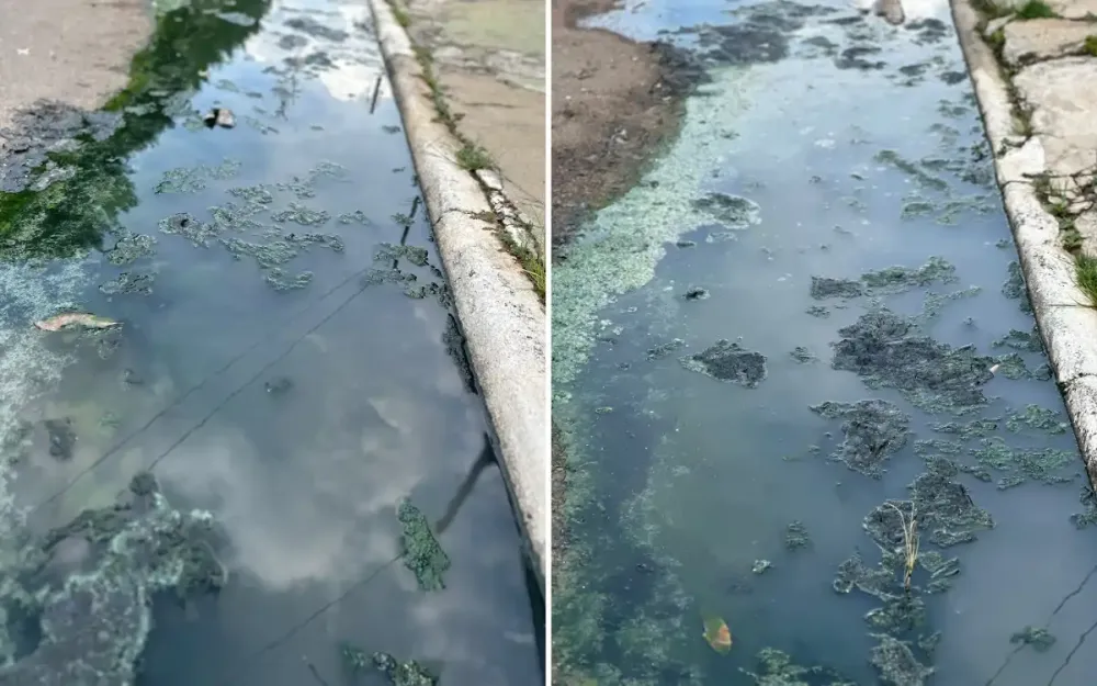 Esgoto a céu aberto: Moradores de Bragança clamam por solução