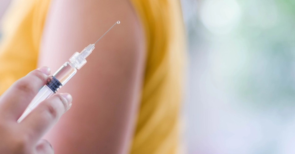 Pinhalzinho registra Febre Amarela em macaco