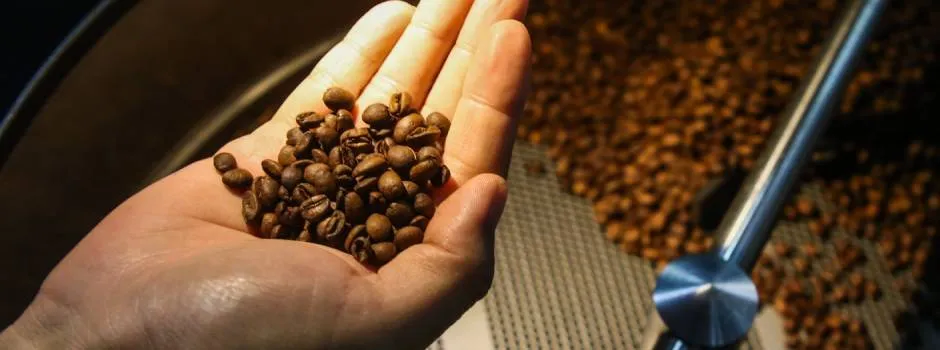 Governo de Minas lança estudo sobre os impactos do acordo entre o Mercosul e União Europeia para Minas Gerais