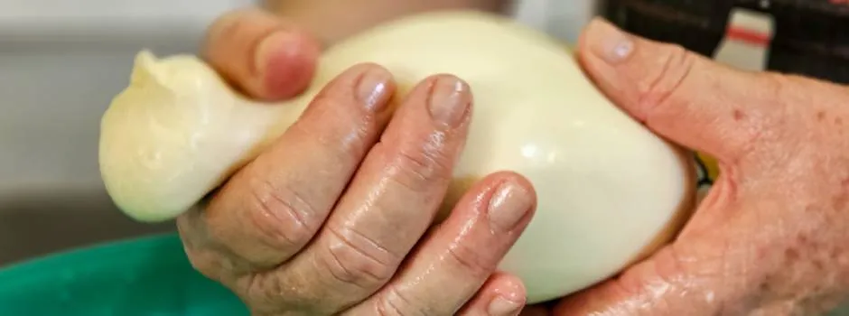 Projeto ‘Queijo Minas Legal’ incentiva a regularização de queijarias informais