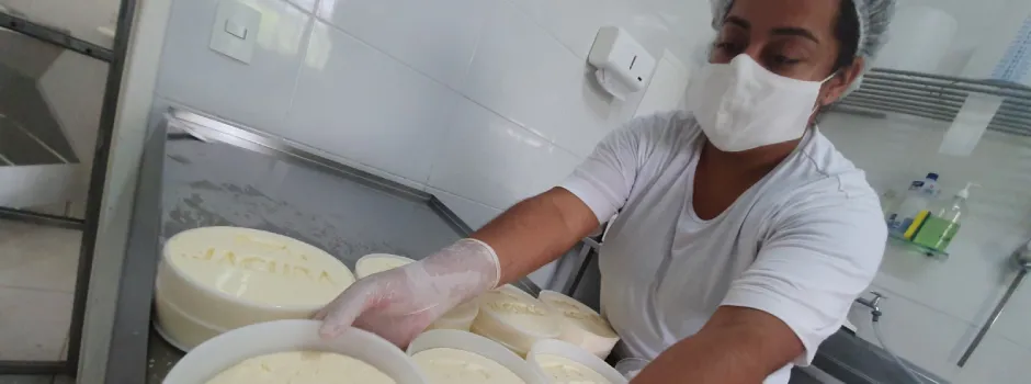 Você sabe quanto custa regularizar uma queijaria? Conheça os investimentos para ficar em dia com a lei