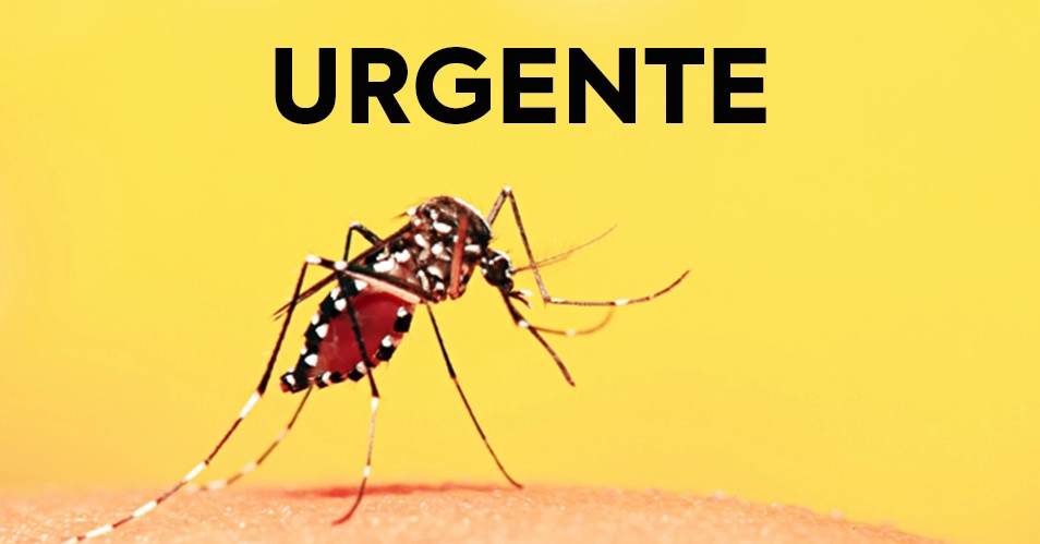 URGENTE: Morador de Bragança Paulista morre por Febre Amarela