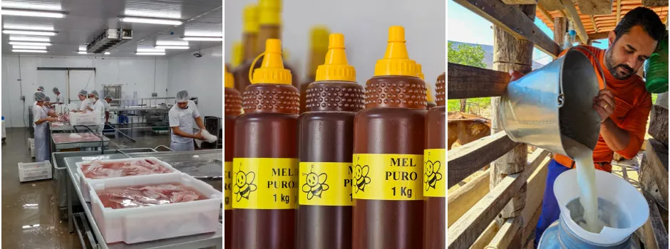 Serviços de inspeção dos produtos de origem animal garantem segurança dos alimentos e indicam a abrangência de comercialização